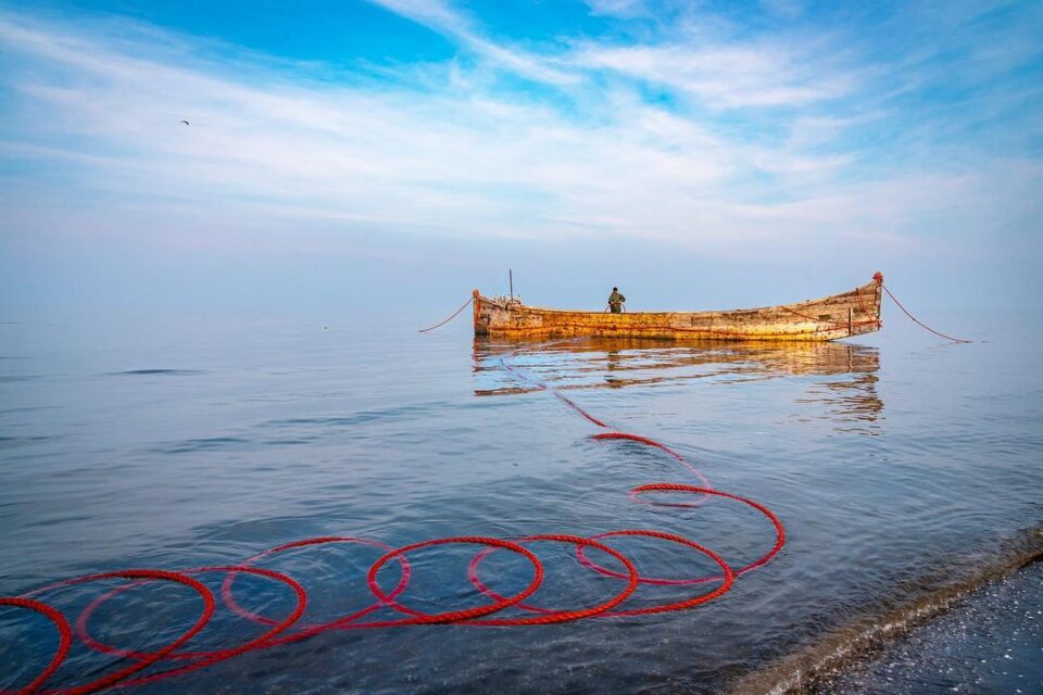 ماهیگیری بندرانزلی